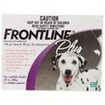 Frontline  …